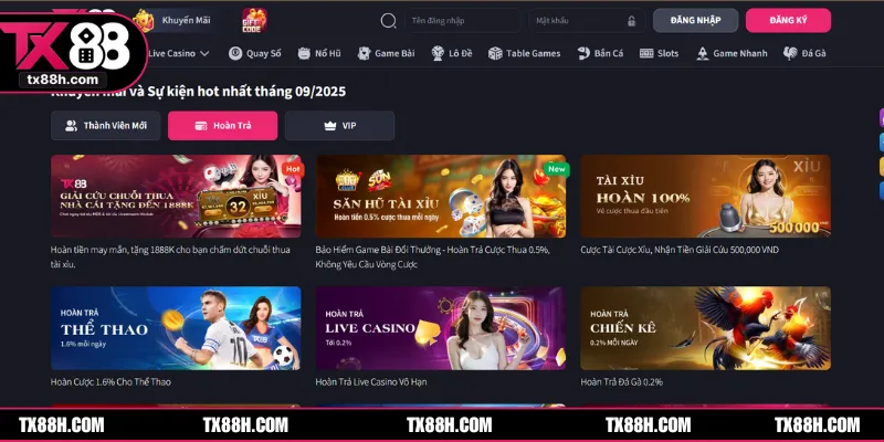 Bạn hoàn toàn được phép tham gia các ưu đãi từ nhà cái