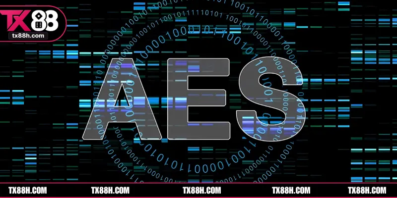 Sân chơi áp dụng mã hóa dữ liệu chuẩn AES-256