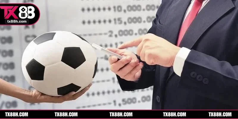 Đa phần người mới chơi thường mắc sai lầm khi đặt cược kèo âm