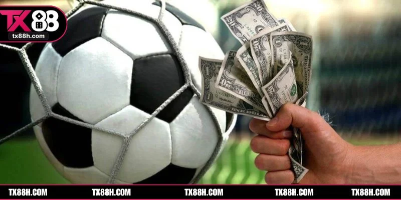 Mẹo soi kèo TX88 giúp tân binh tăng tỷ lệ thắng và giảm rủi ro